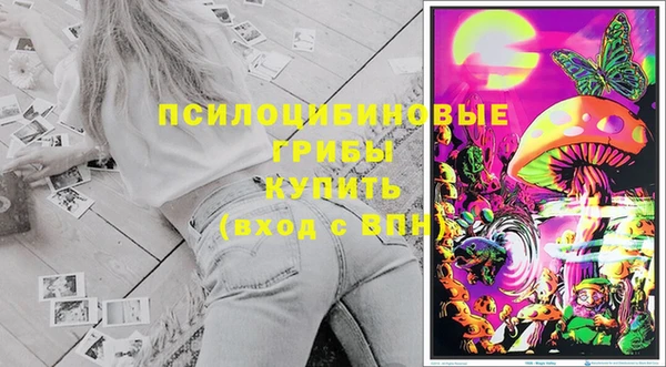каннабис Белокуриха