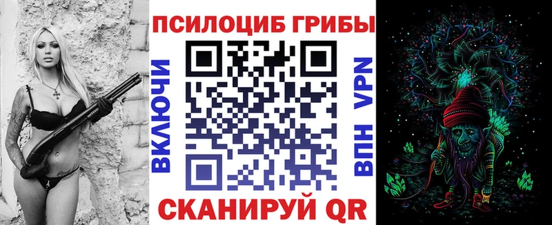 где купить наркоту  Буйнакск  Галлюциногенные грибы Psilocybe 